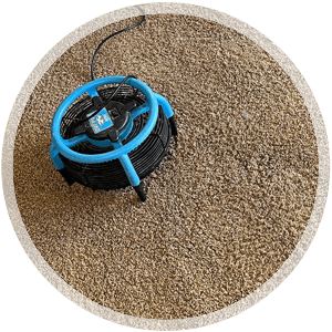 Area rug Cleaning Service Icon